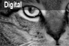 Digital